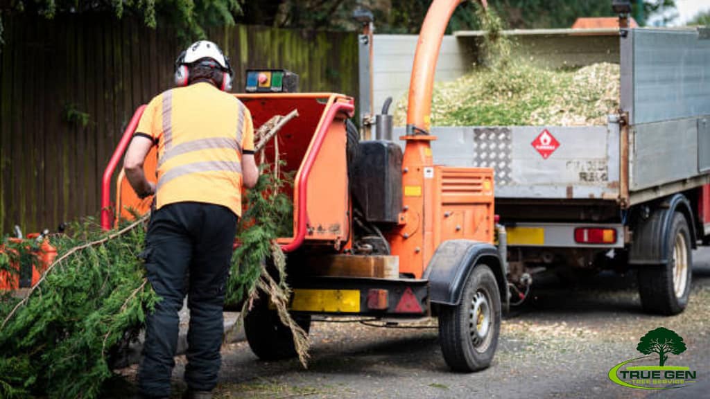 Tree Service