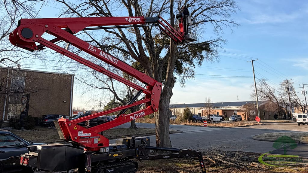 tree service virginia beach