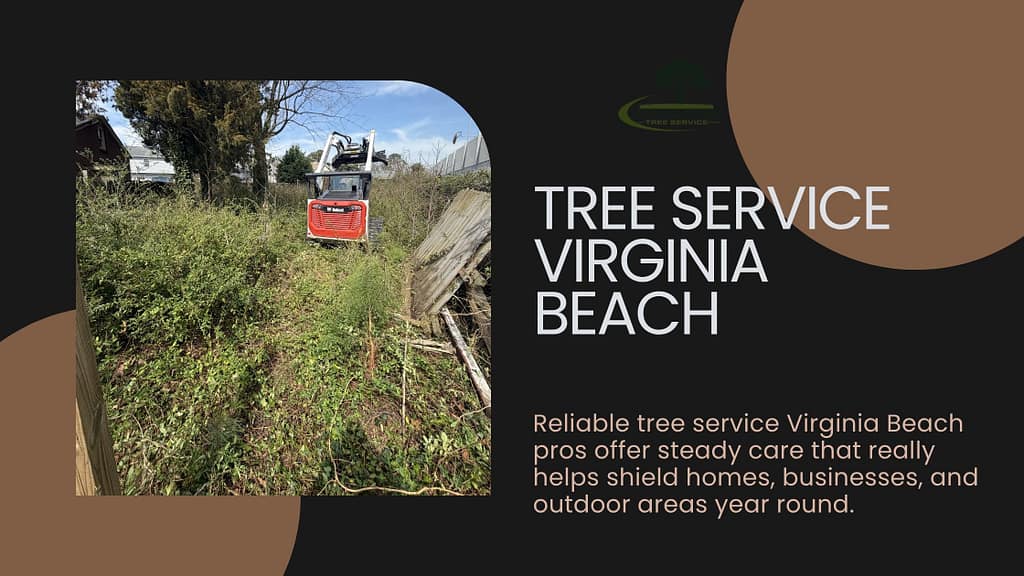 tree service virginia beach