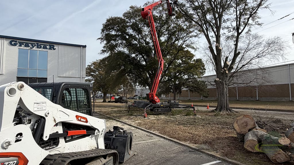 Emergency tree removal