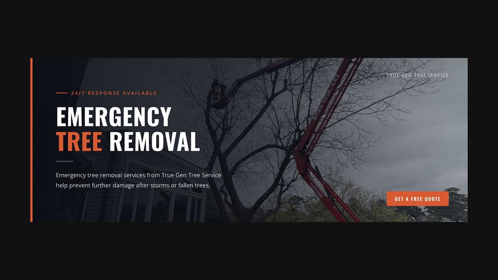 Emergency tree removal