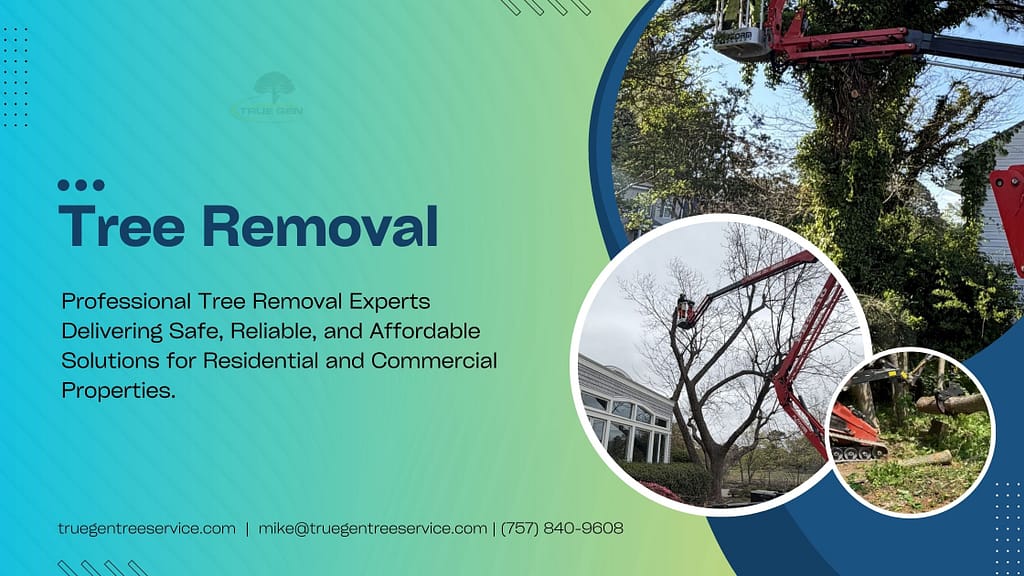 Tree removal