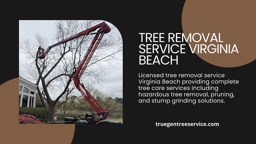 tree removal service virginia beach