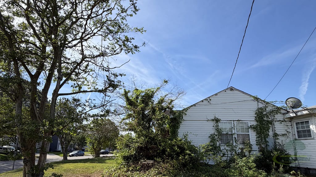 tree service company virginia beach