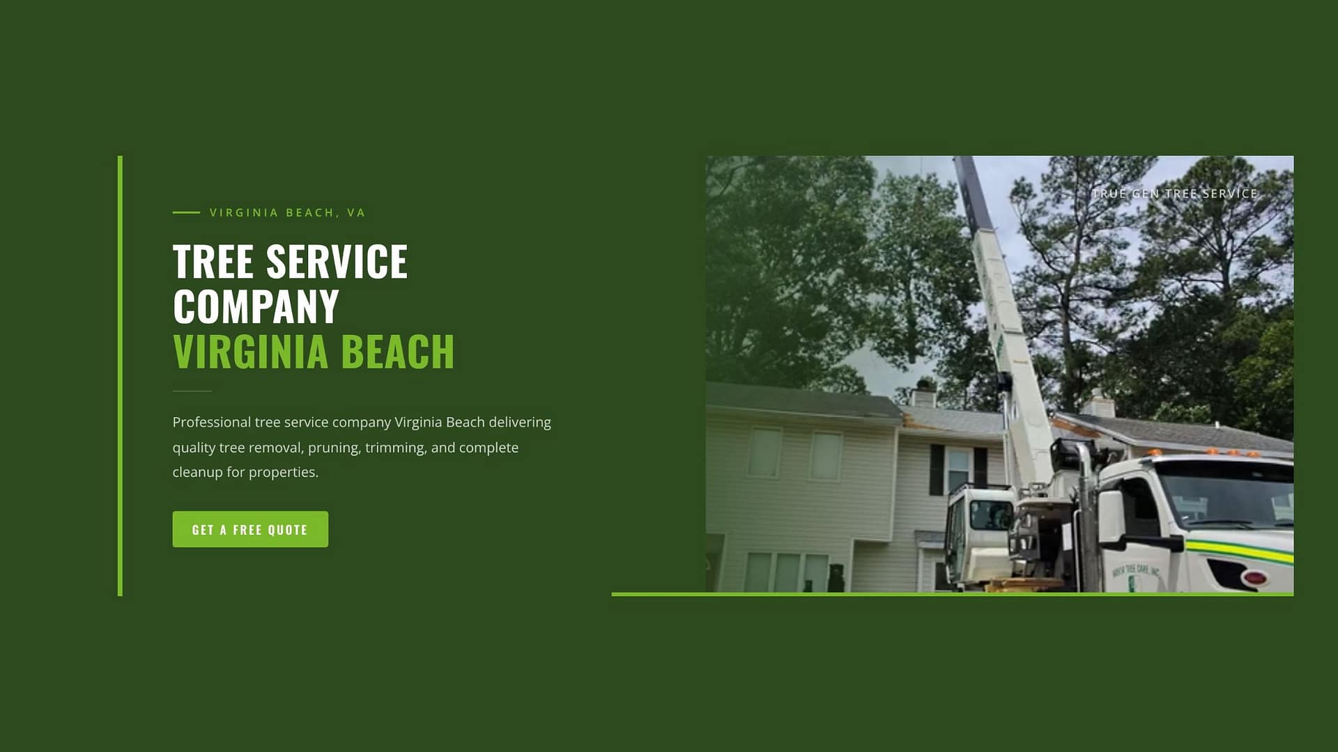 tree service company virginia beach