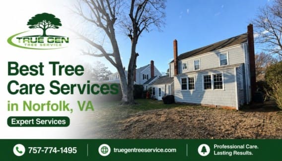 Best Tree Care Services in Norfolk, VA Experts Services