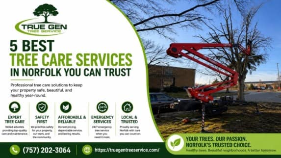 best tree care services Norfolk