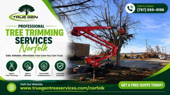 tree doctor norfolk virginia