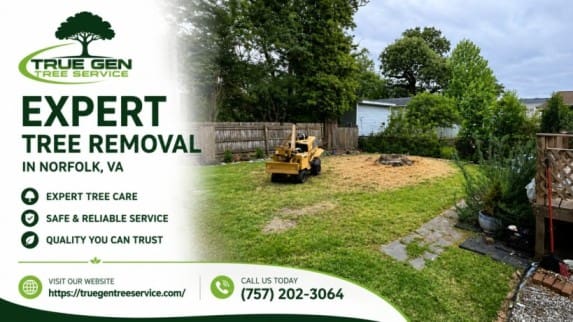 Expert tree removal in Norfolk