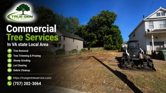 Licensed Tree Service In Norfolk, VA | Free Estimates