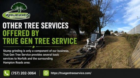 professional stump grinding Norfolk