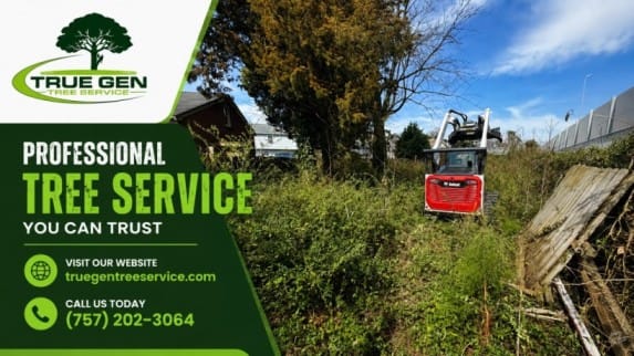 Tree Stump Removal In Norfolk, VA | Schedule Your Estimate