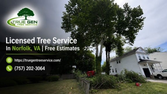 Licensed Tree Service In Norfolk, VA  Free Estimates