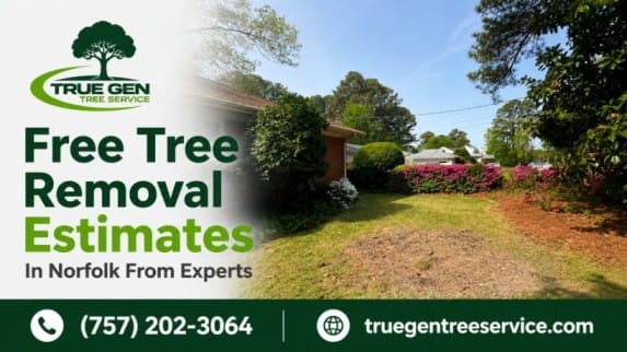 tree removal estimates Norfolk