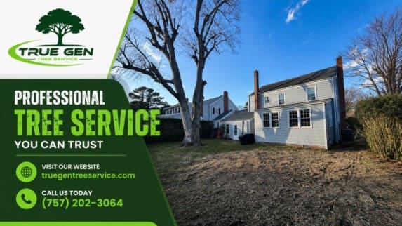 tree stump removal norfolk​