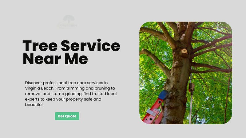 Tree Service Near Me